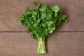 Cilantro