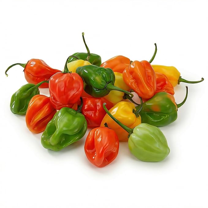 Habanero Peppers