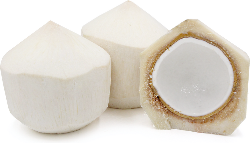 Young Coconut