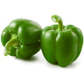 Green Bell Peppers