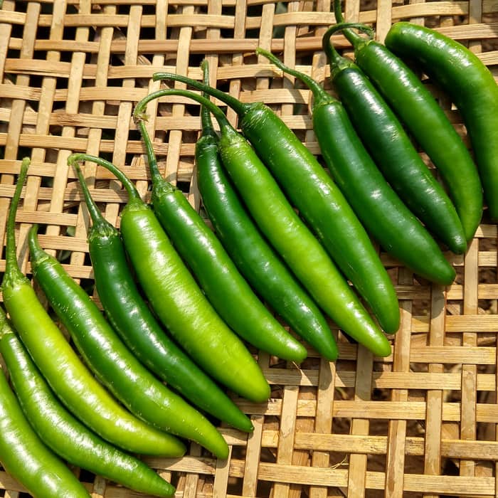 Green Chilies (Serrano)