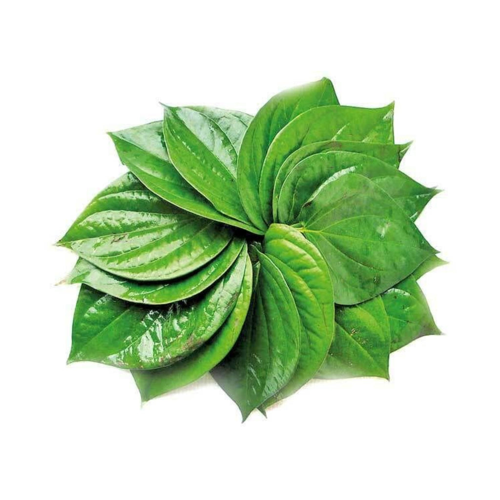 Fresh Betel Leaves