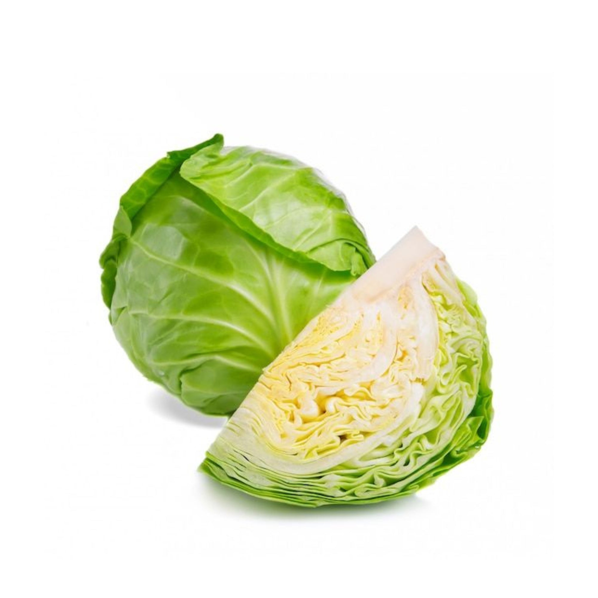 Green Cabbage