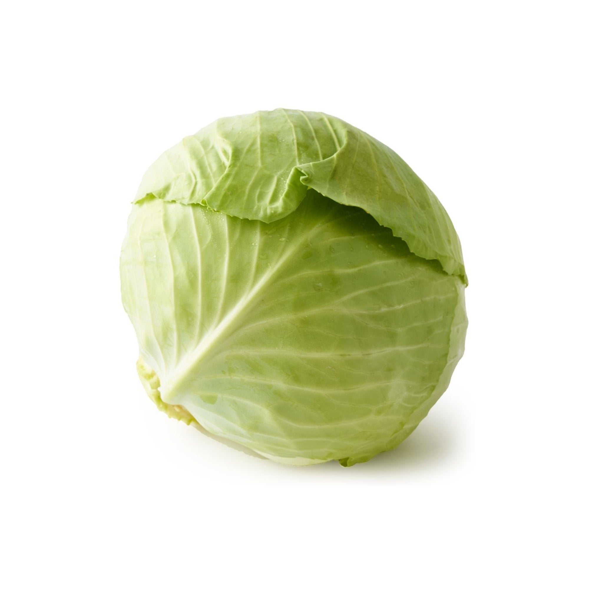Green Cabbage