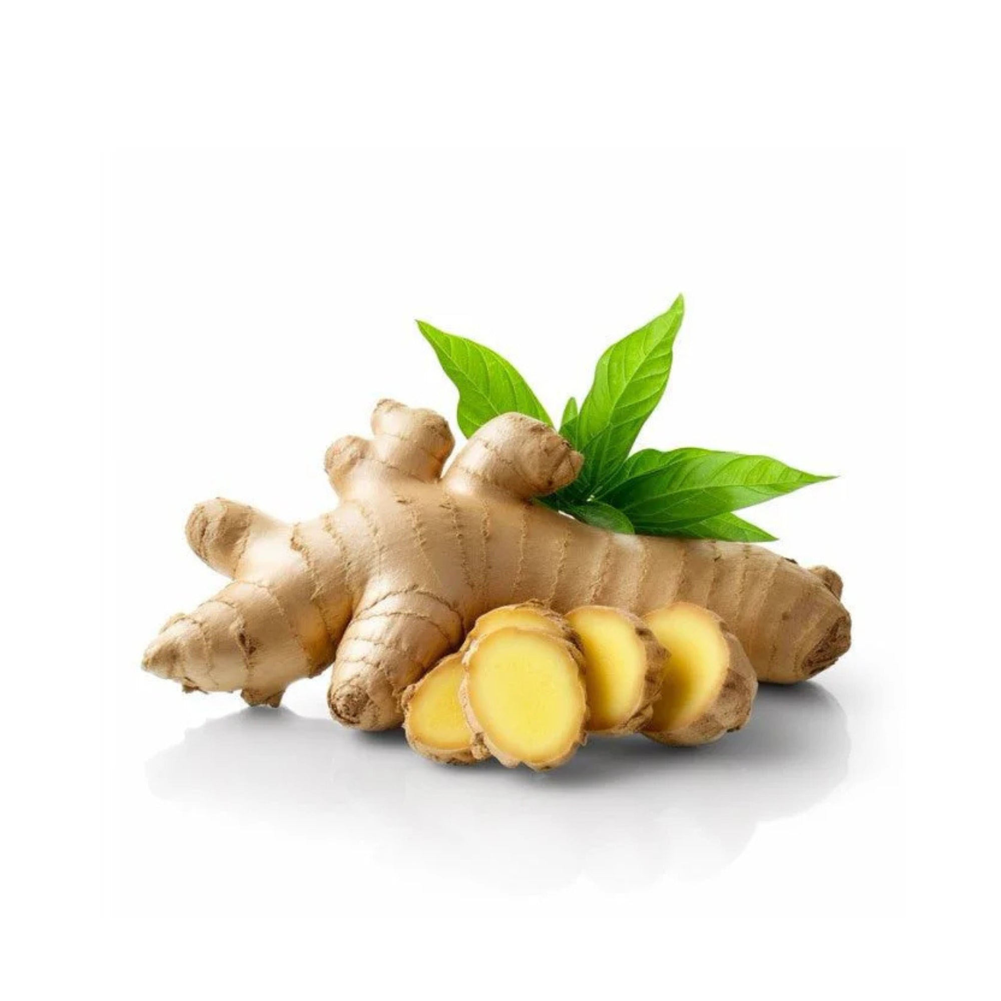 Fresh Ginger Root