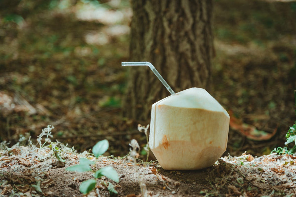 Young Coconut