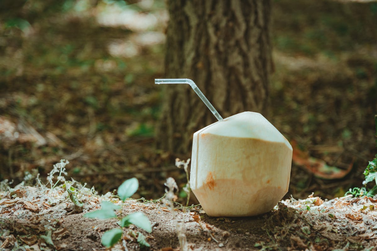 Young Coconut