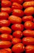 Tomato Roma