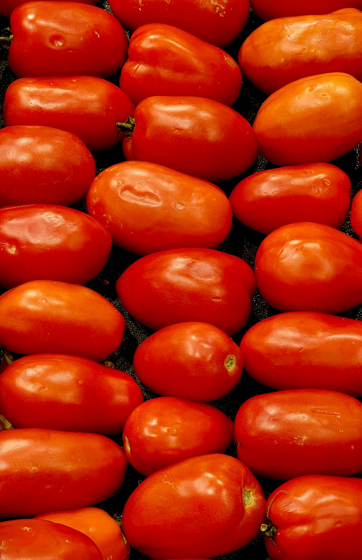 Tomato Roma