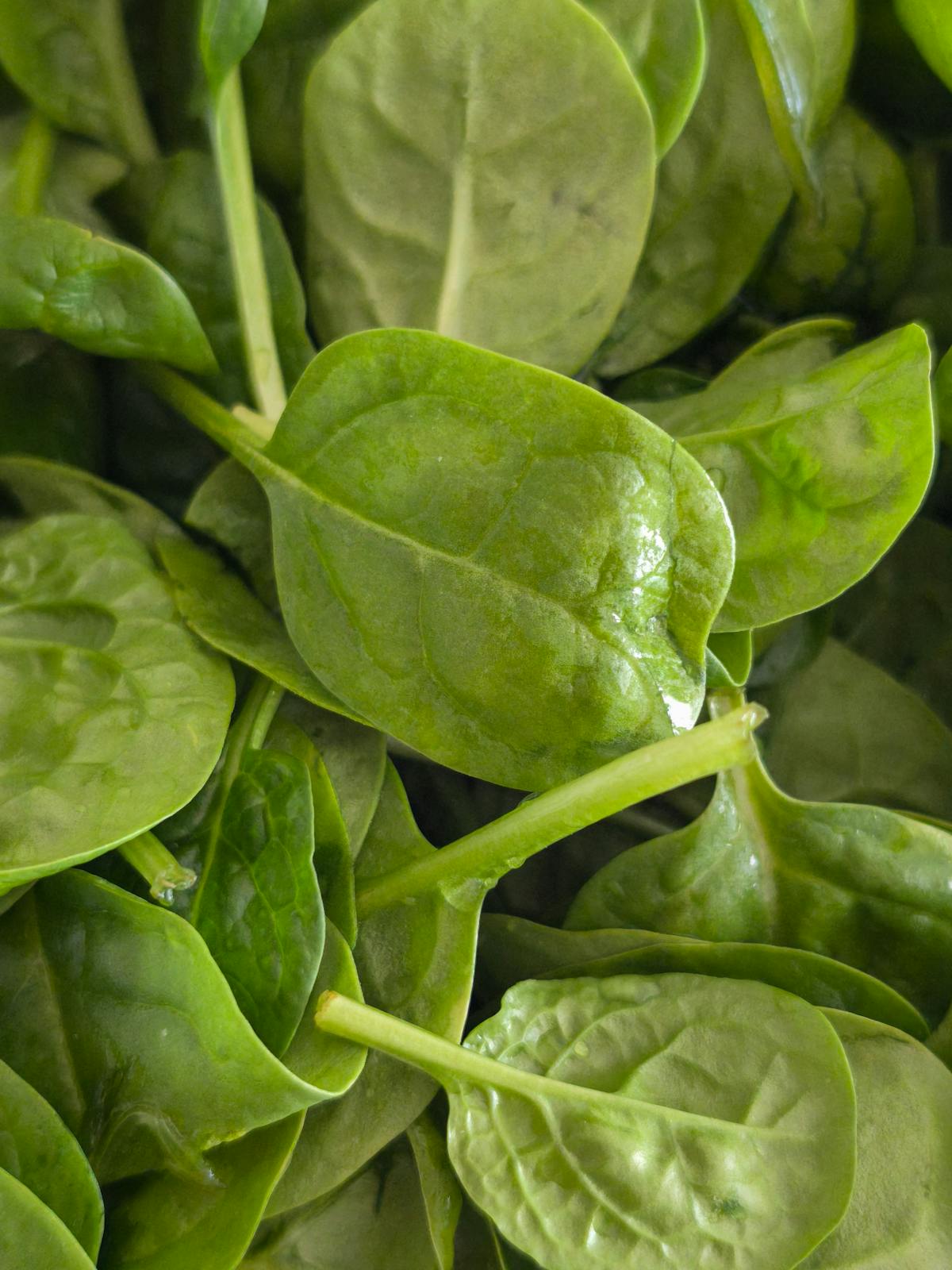 Spinach (bagged)