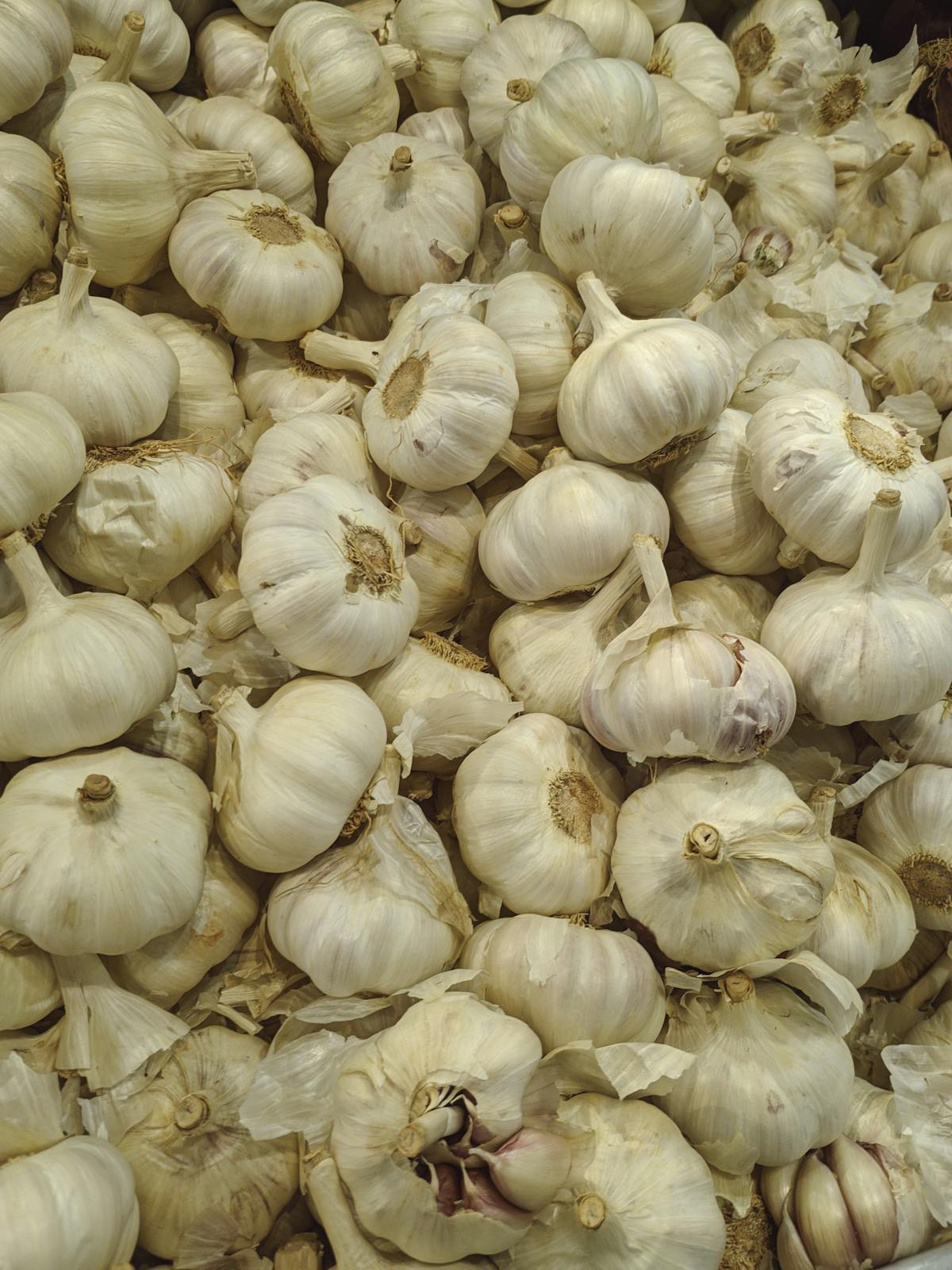 Garlic (loose)