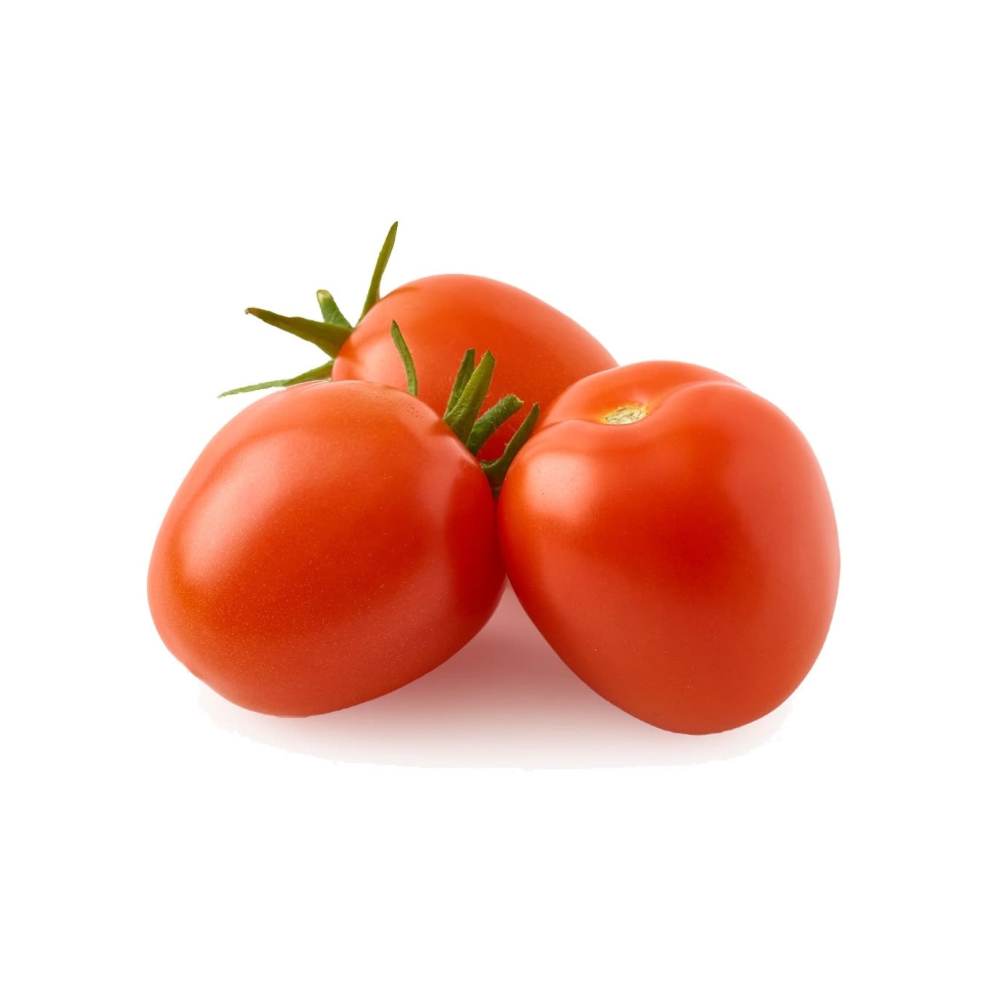 Fresh Tomato Roma