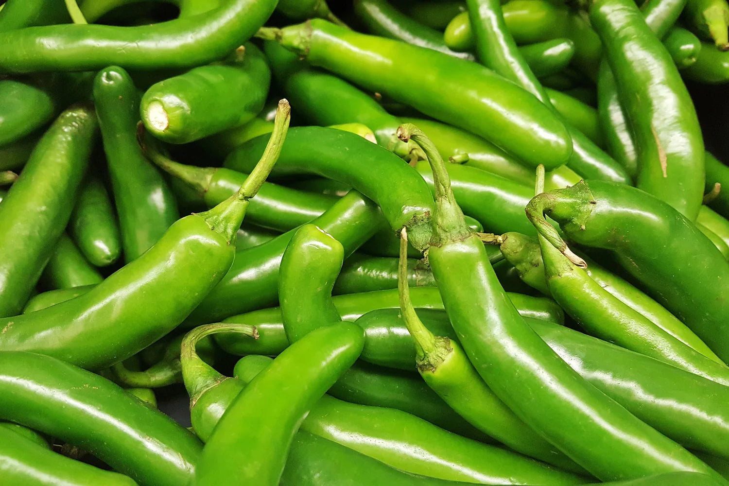 Green Chilies (Serrano)