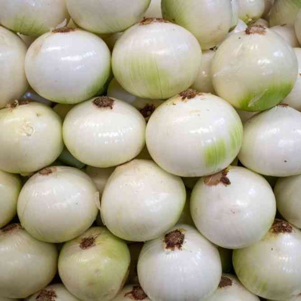 White Onion